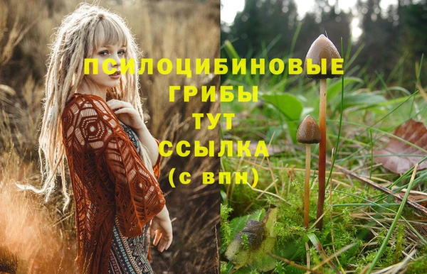 соль ск Елизово