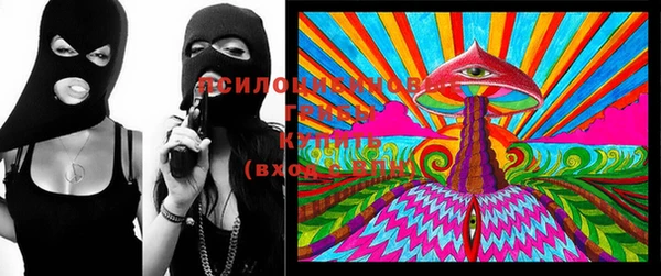 бутират Ельня