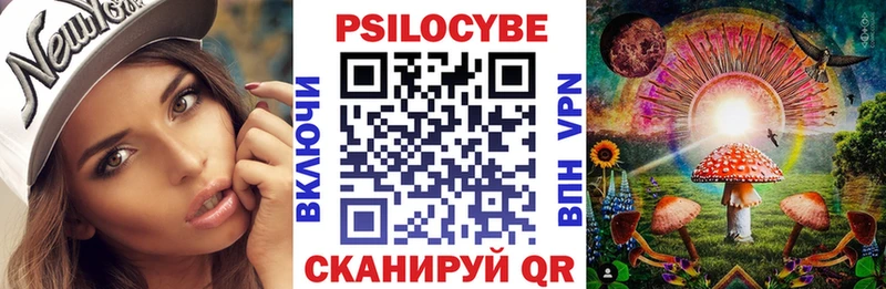 Галлюциногенные грибы Psilocybine cubensis  MEGA   Питкяранта 
